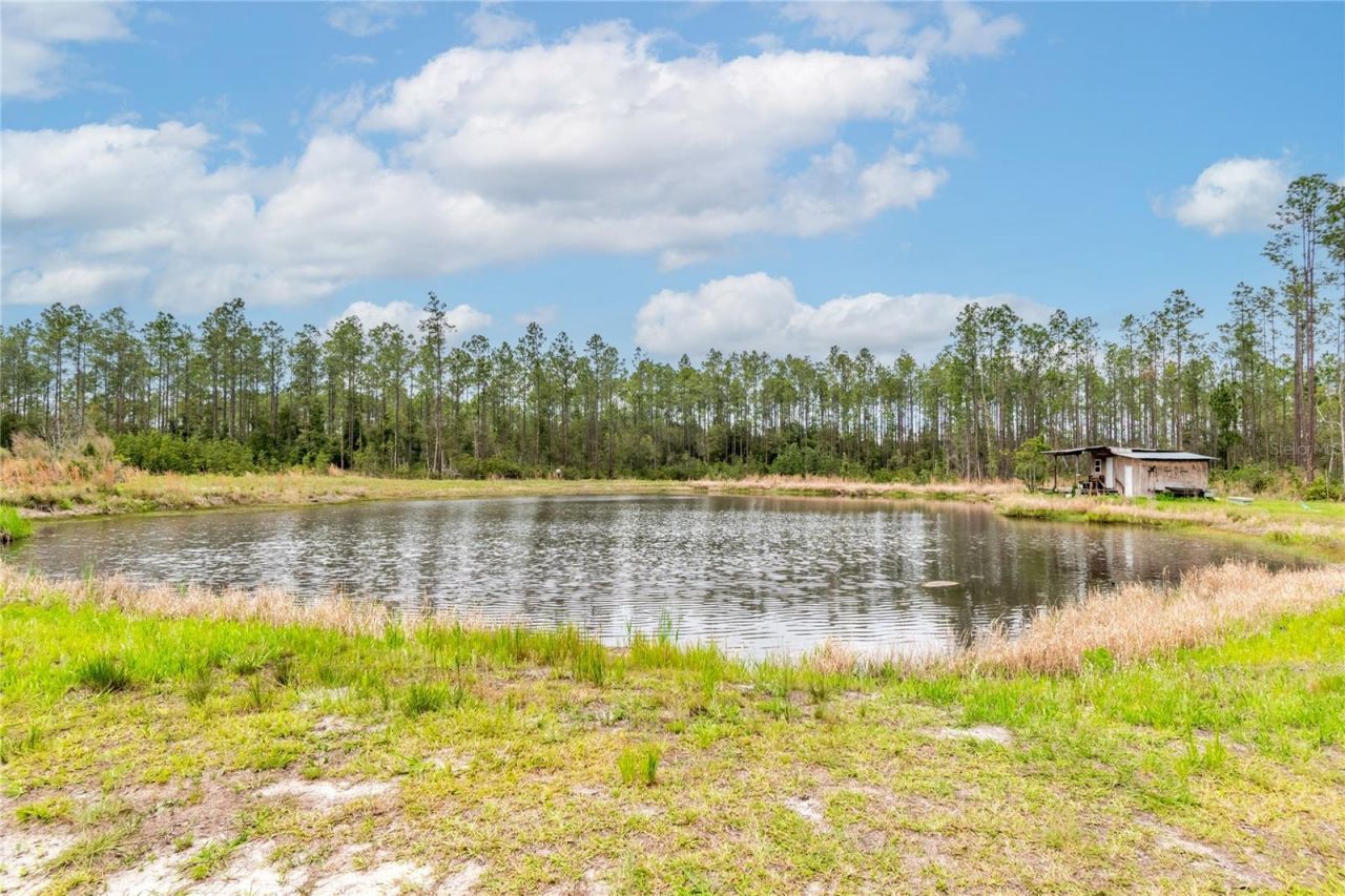 12655 NE 215th Street, Fort Mc Coy, FL 32134 Photo