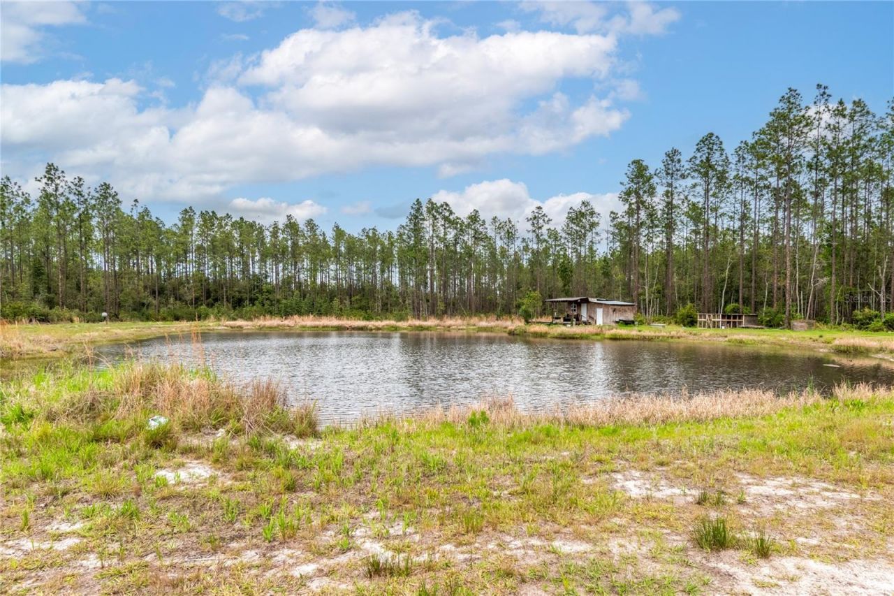 12655 NE 215th Street, Fort Mc Coy, FL 32134 Photo
