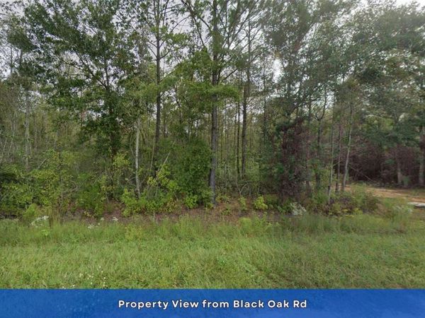 4536 BLACK OAK ROAD, MILTON, FL 32583