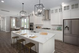 211 Threaded Fern Street photo 4