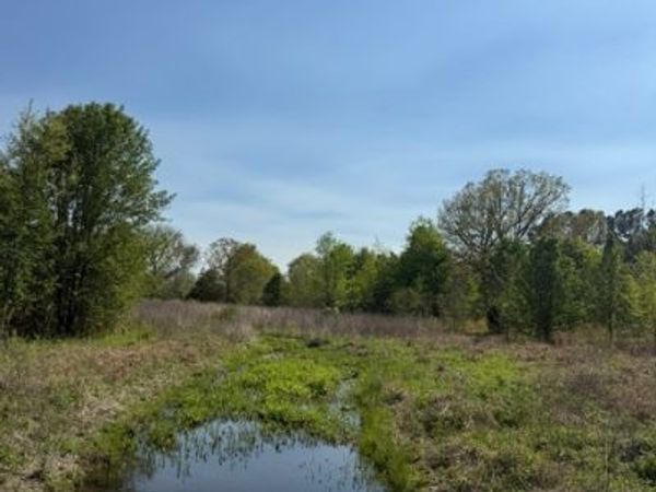 185 Scott Orchard Rd, Taft, TN 38488