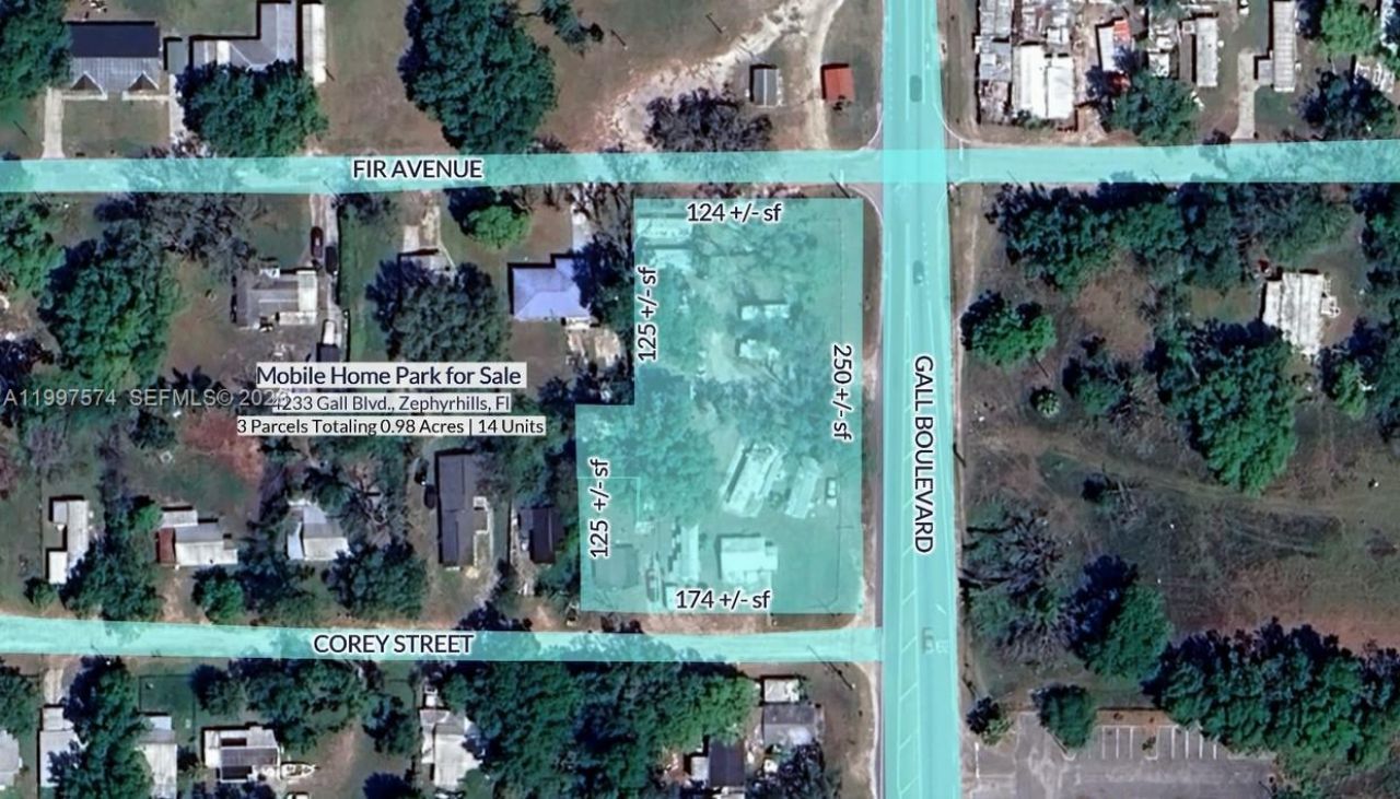 4233 Gall Blvd , Zephyrhills, FL 33452 Photo