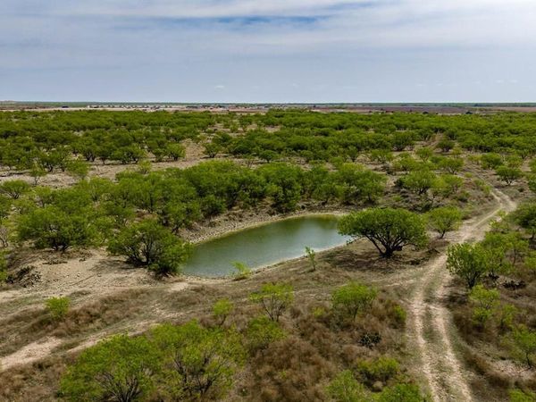 TBD Rockdale Road, No City, TX 79533