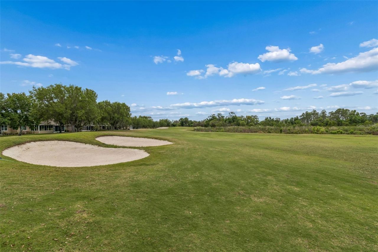 2006 Grantham Greens Drive, Sun City Center, FL 33573 Photo