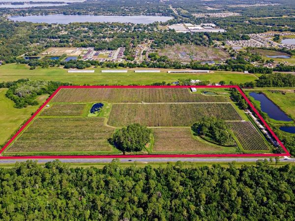 7453 JONES AVENUE, MOUNT DORA, FL 32757