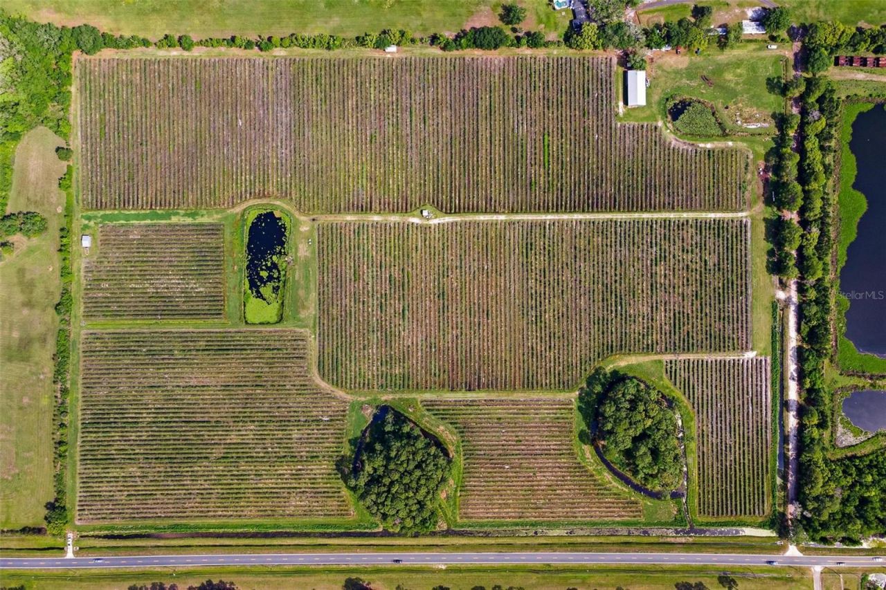 7453 Jones Avenue, Mount Dora, FL 32757 Photo