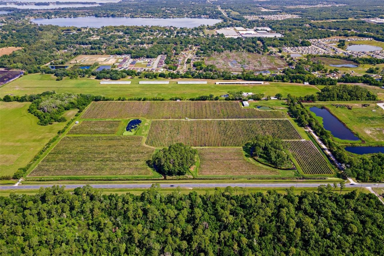 7453 Jones Avenue, Mount Dora, FL 32757 Photo