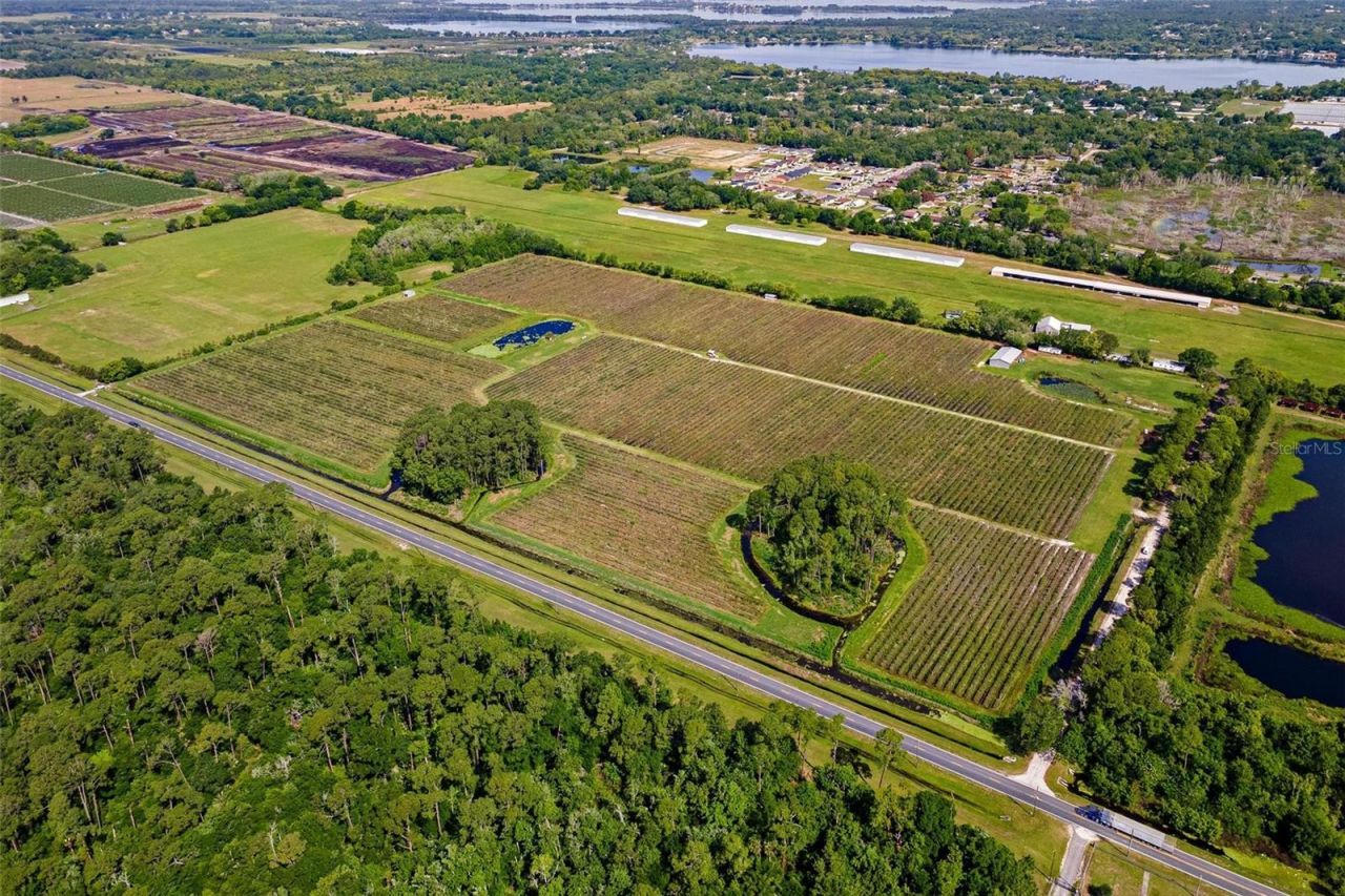 7453 Jones Avenue, Mount Dora, FL 32757 Photo