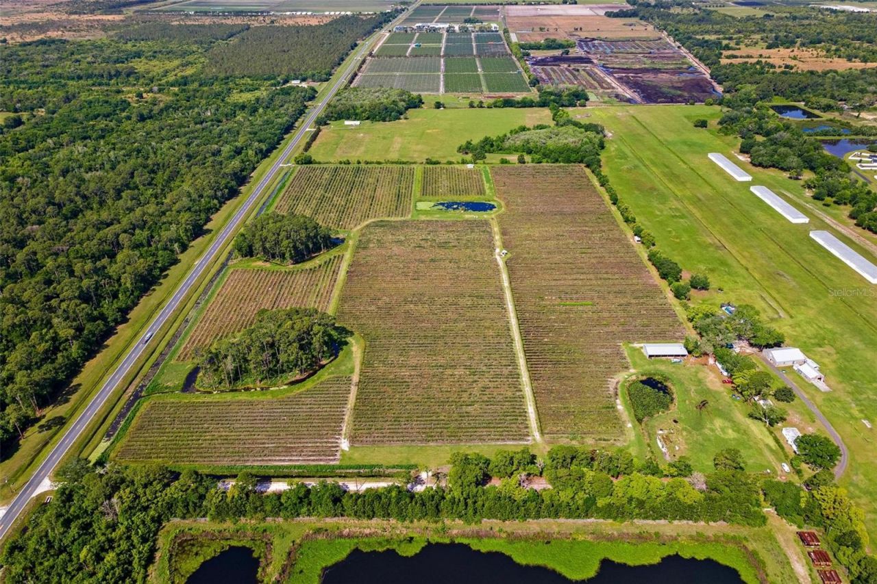 7453 Jones Avenue, Mount Dora, FL 32757 Photo