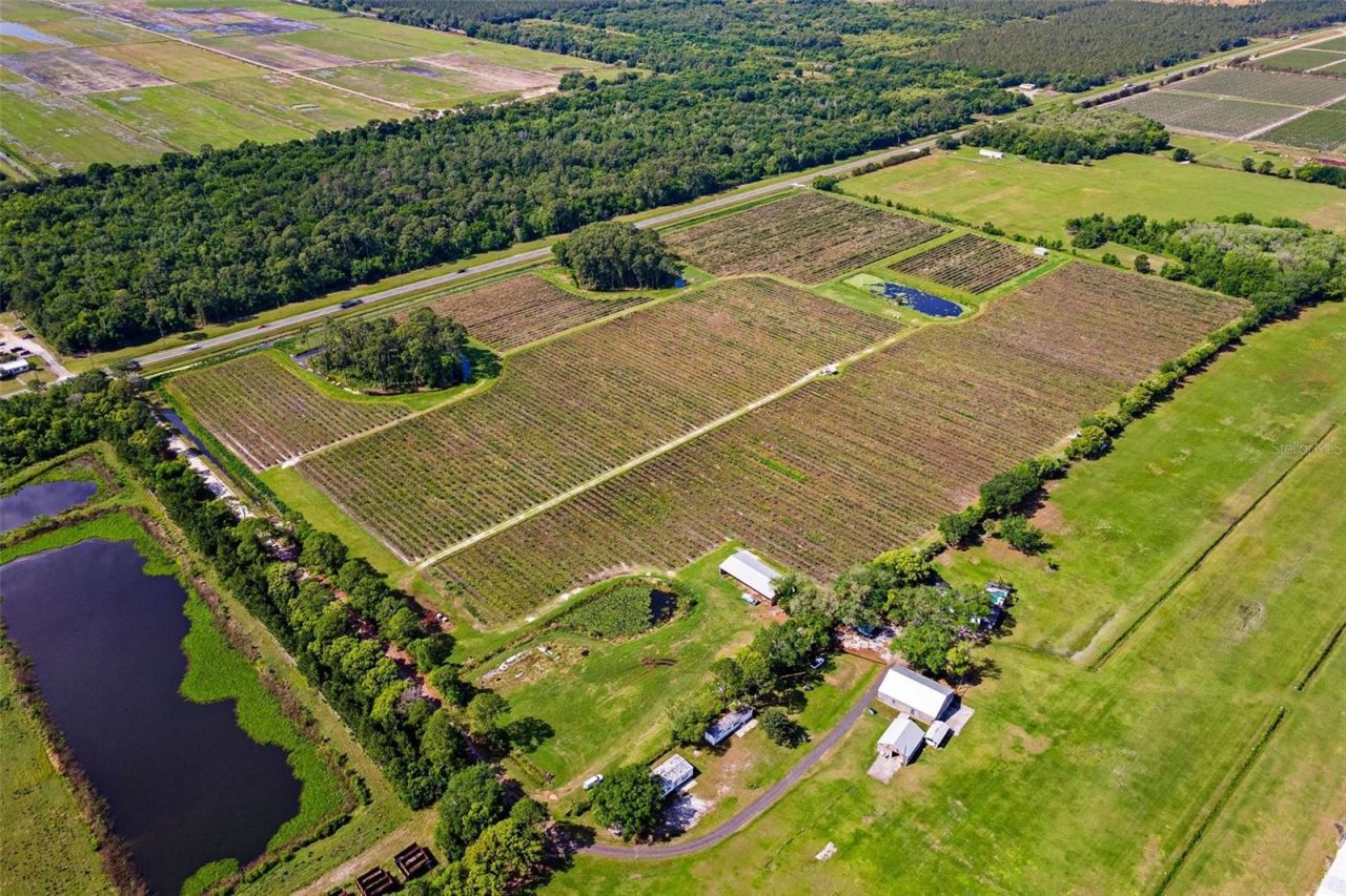 7453 Jones Avenue, Mount Dora, FL 32757 Photo