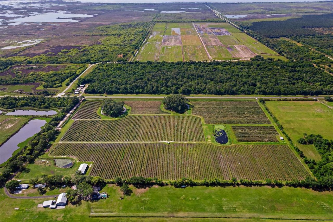 7453 Jones Avenue, Mount Dora, FL 32757 Photo