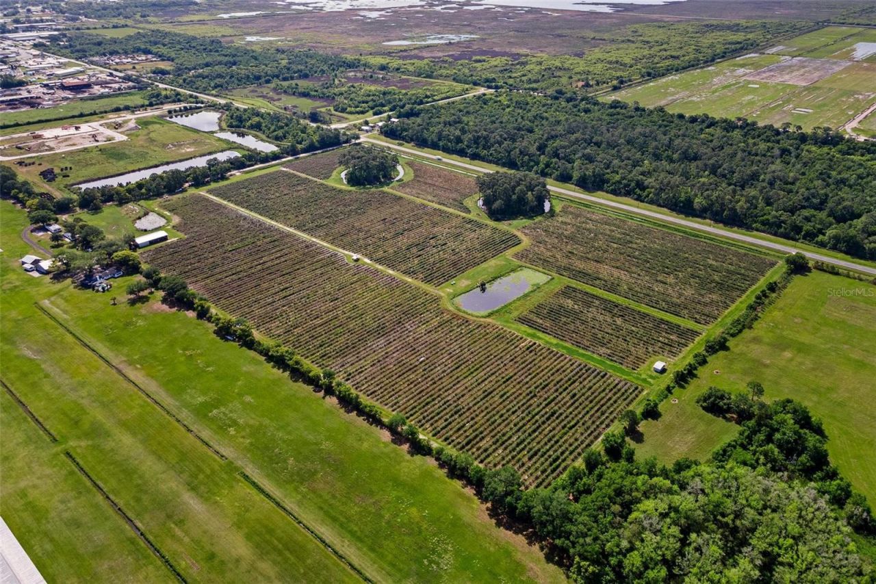 7453 Jones Avenue, Mount Dora, FL 32757 Photo