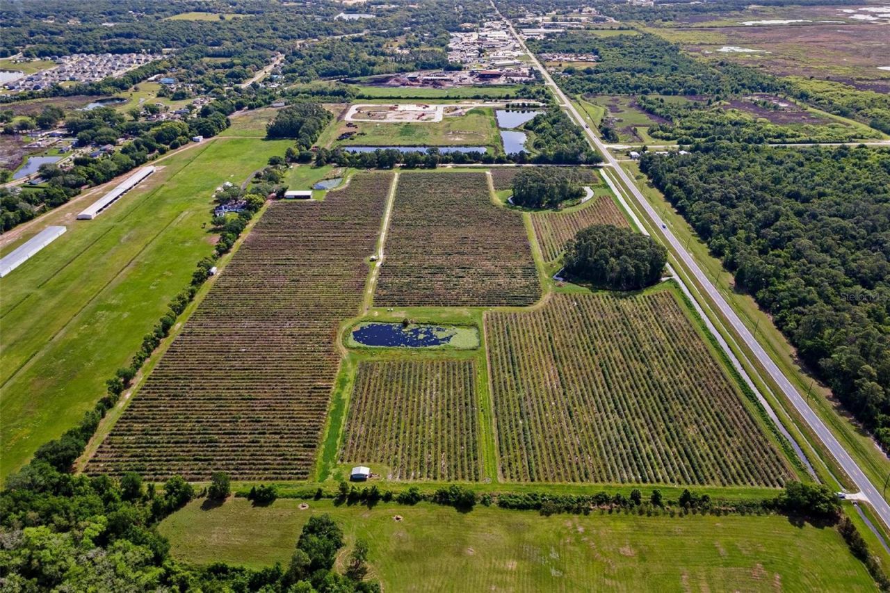 7453 Jones Avenue, Mount Dora, FL 32757 Photo