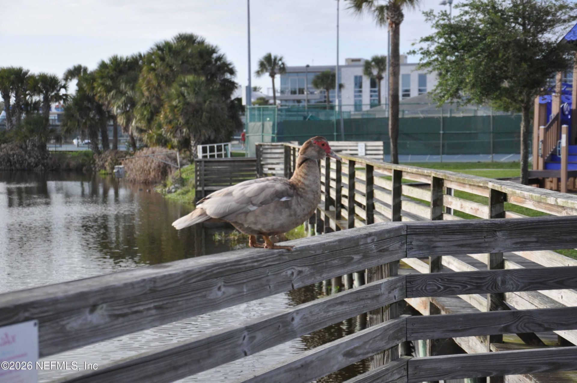 2074 S 2nd Street, Jacksonville Beach, FL 32250 Photo