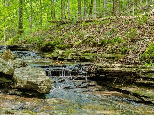 1 Crocker Springs Rd, Goodlettsville, TN 37072