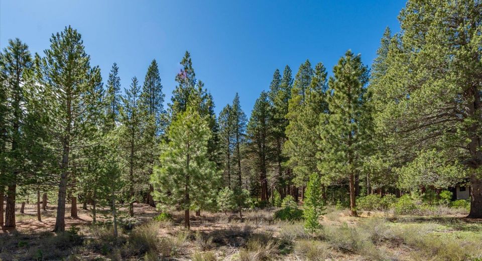 11850 Bottcher Loop, Truckee, CA 96161 Photo