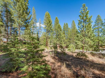 11850 Bottcher Loop, Truckee, CA 96161 Photo