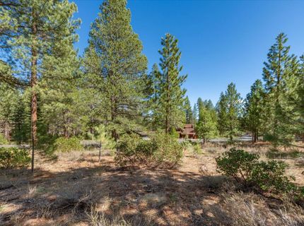 11850 Bottcher Loop, Truckee, CA 96161 Photo