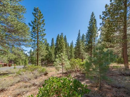 11850 Bottcher Loop, Truckee, CA 96161 Photo
