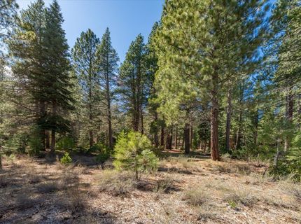 11850 Bottcher Loop, Truckee, CA 96161 Photo