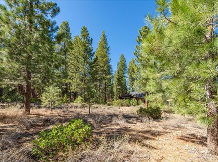 11850 Bottcher Loop, Truckee, CA 96161 Photo