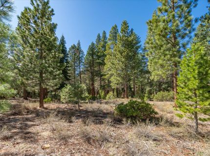 11850 Bottcher Loop, Truckee, CA 96161 Photo