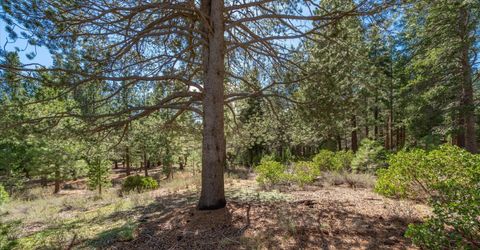 11850 Bottcher Loop, Truckee, CA 96161 Photo