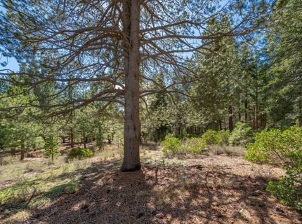 11850 Bottcher Loop, Truckee, CA 96161 Photo