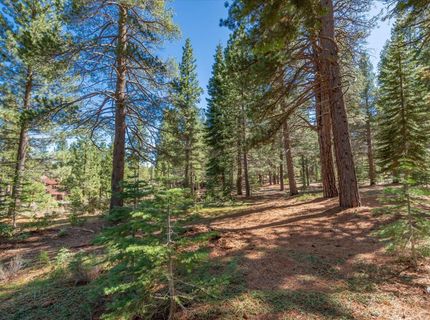 11850 Bottcher Loop, Truckee, CA 96161 Photo