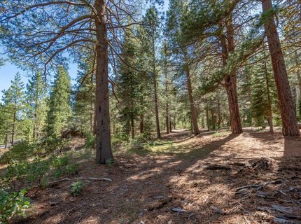 11850 Bottcher Loop, Truckee, CA 96161 Photo