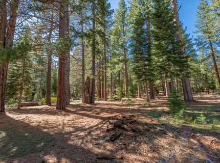 11850 Bottcher Loop, Truckee, CA 96161 Photo