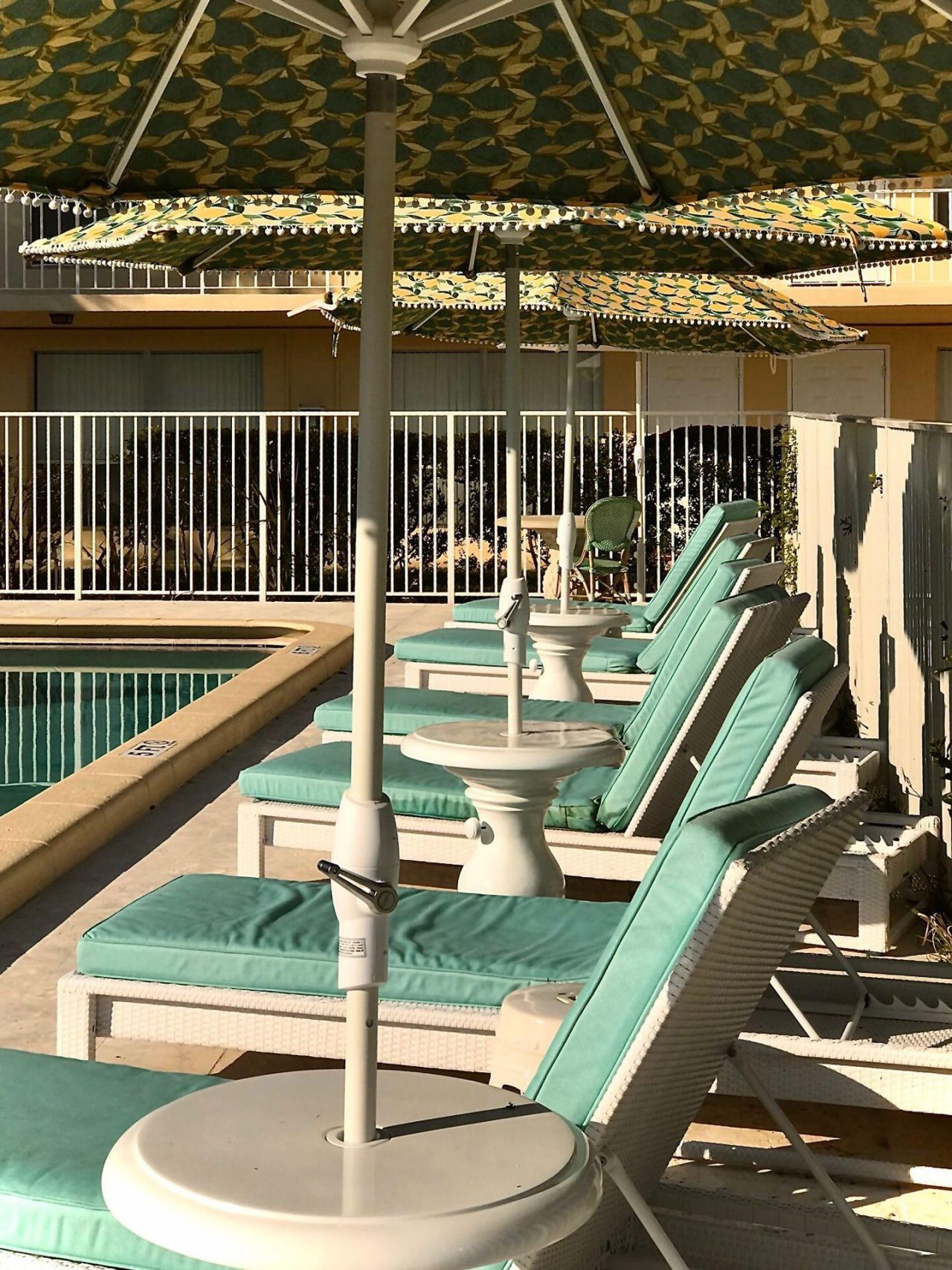 4850 NE 5th Avenue, Unit 308, Boca Raton, FL 33431 Photo