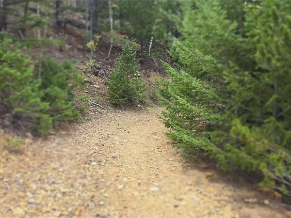 Olympic and Hecla Mines , Dumont, CO 80436