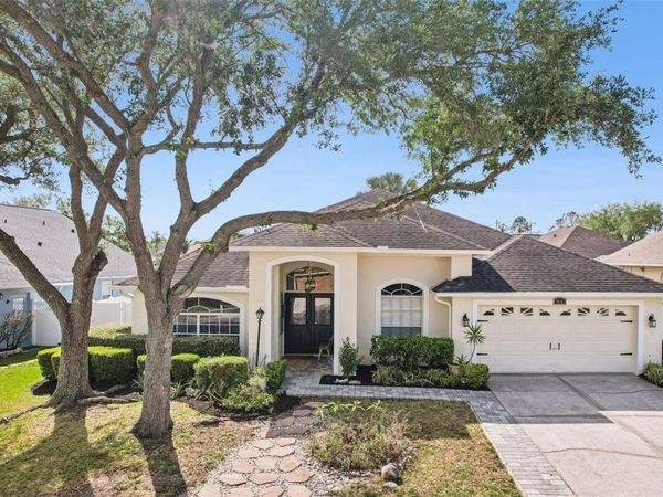 18103 LATIMER LANE , TAMPA, FL 33647