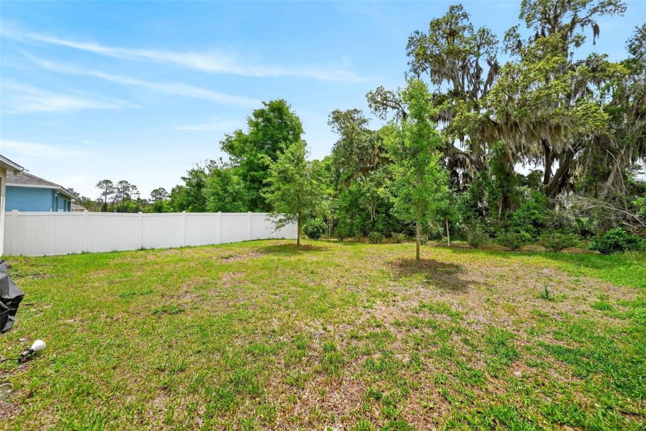 3007 Staten Drive, Deltona, FL 32738 Photo