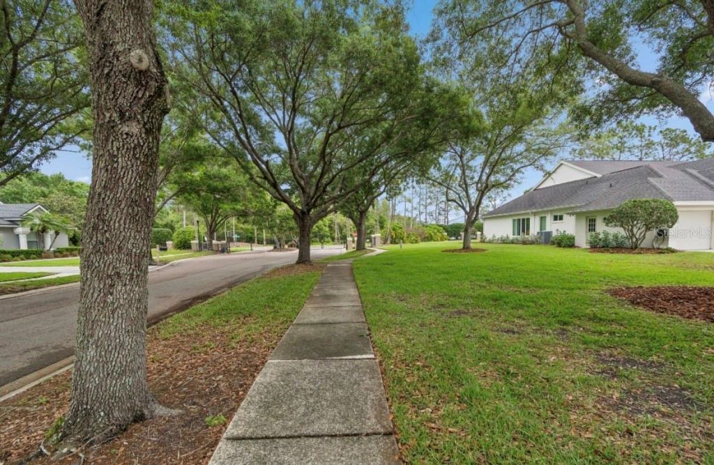 19127 Centre Rose Boulevard , Lutz, FL 33558 Photo