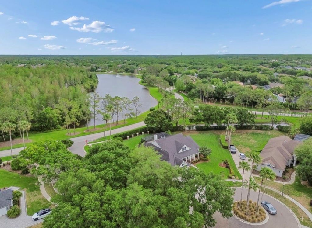 19127 Centre Rose Boulevard , Lutz, FL 33558 Photo