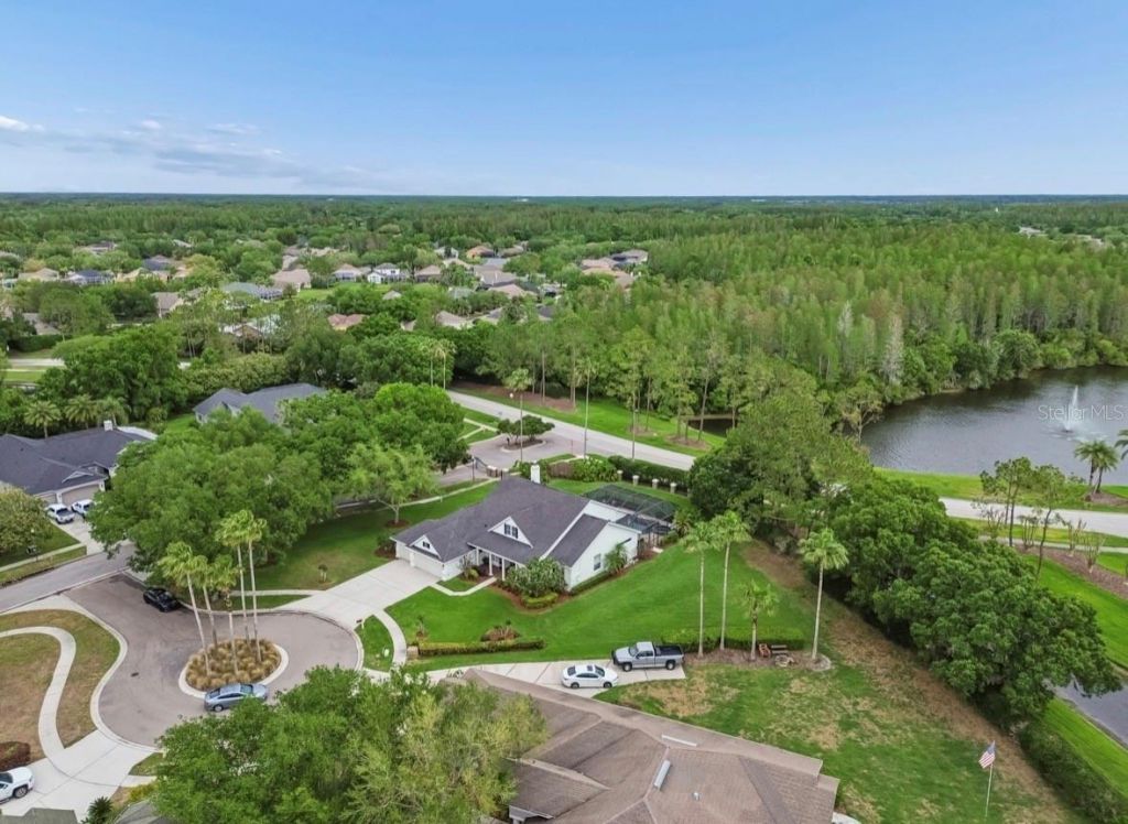 19127 Centre Rose Boulevard , Lutz, FL 33558 Photo