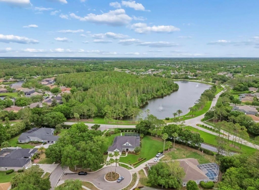 19127 Centre Rose Boulevard , Lutz, FL 33558 Photo