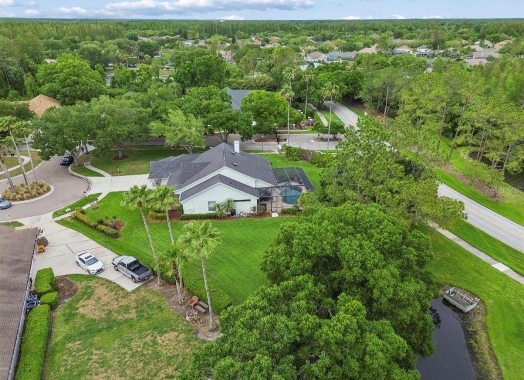 19127 Centre Rose Boulevard , Lutz, FL 33558 Photo