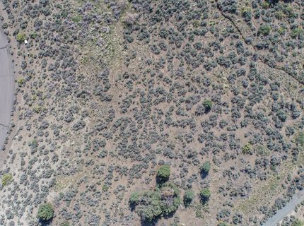 1538 Bolton Loop, Lot #8, Gardnerville, NV 89410 Photo