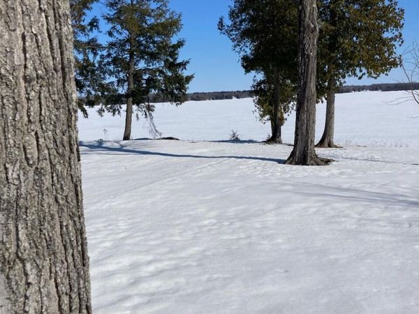 00 E South Caribou Lake Rd RD, De Tour, MI 49725