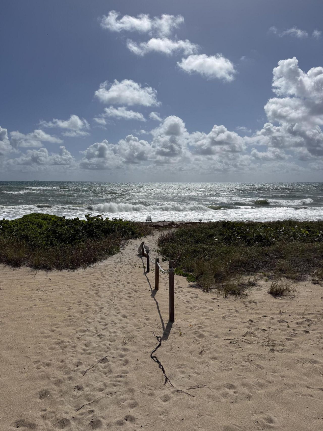 1043 Hillsboro Mile Hillsboro Mile, Unit 18c, Hillsboro Beach, FL 33062 Photo