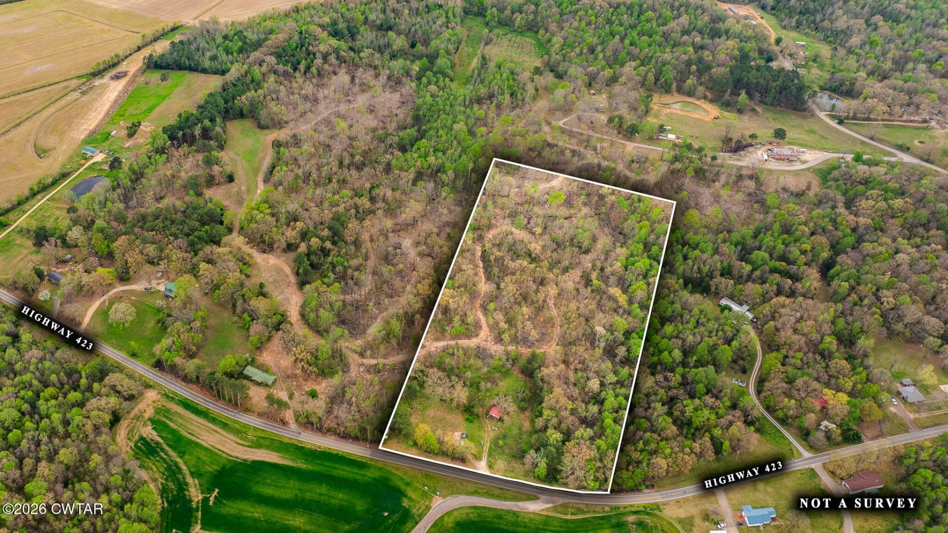 6930 Highway 423, Mc Kenzie, TN 38201 Main Photo