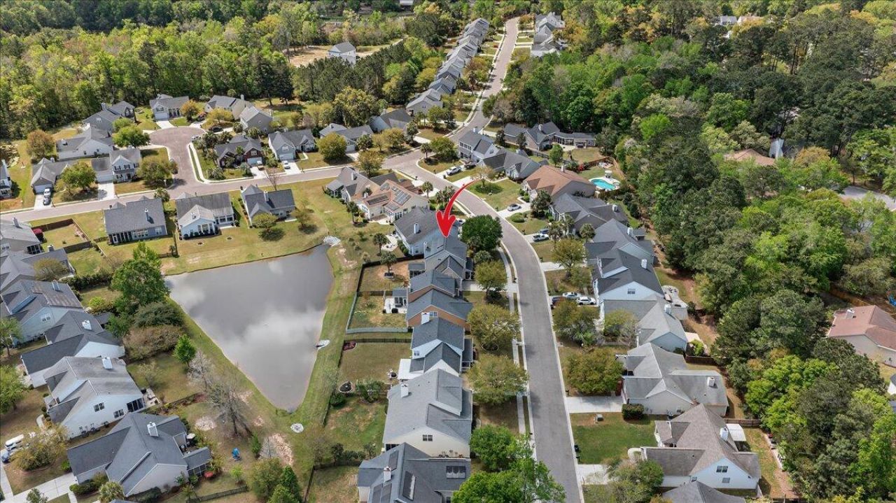 106 Back Tee Circle Photo 53