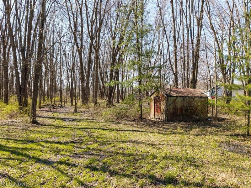 4942 Lear Nagle Road , North Ridgeville, OH 44039 Photo 8