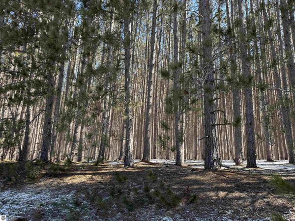 Wheeler Lake Road N, Kalkaska, MI 49646