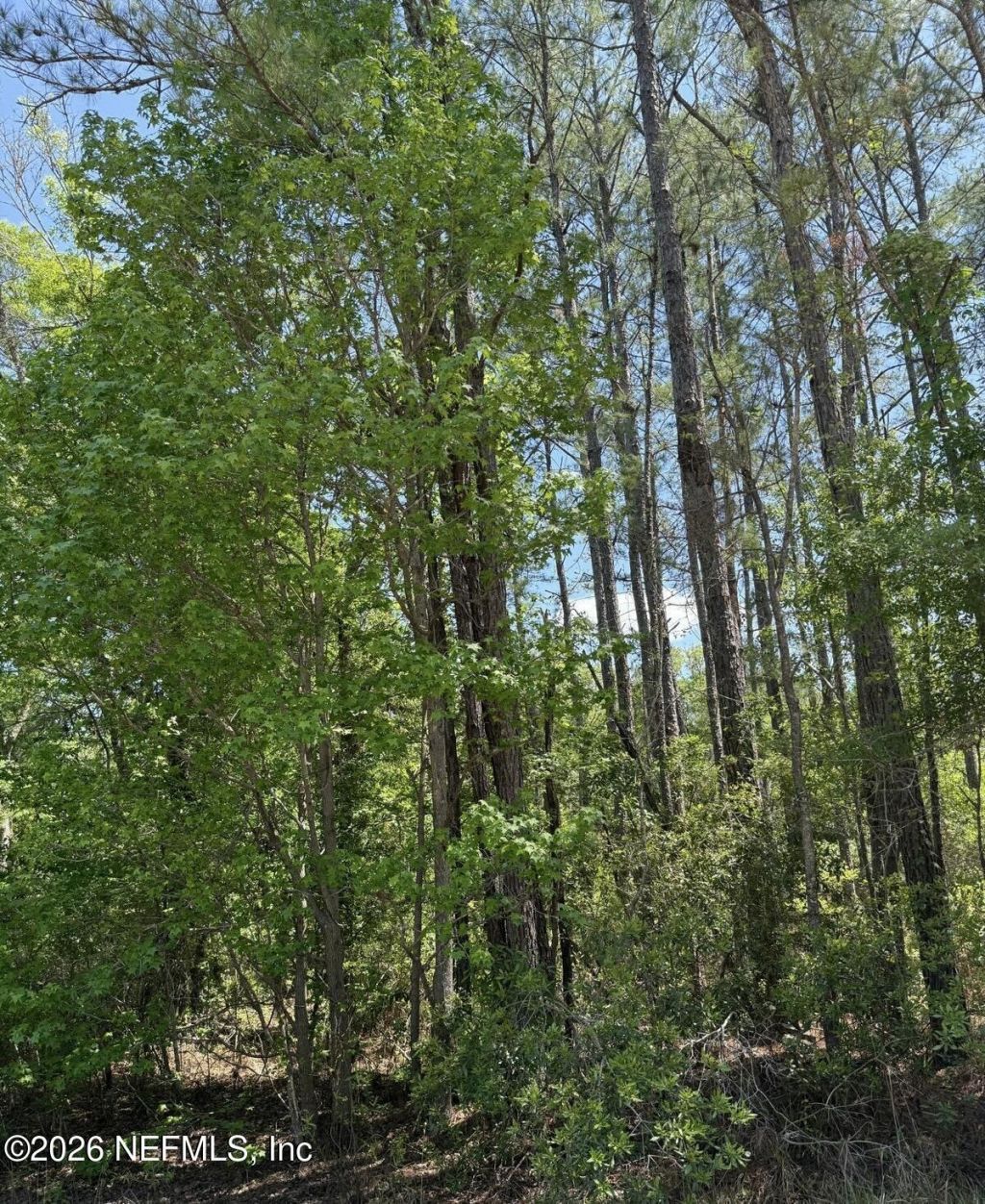 Tbd NE 20th Lane, Lawtey, FL 32058 Photo