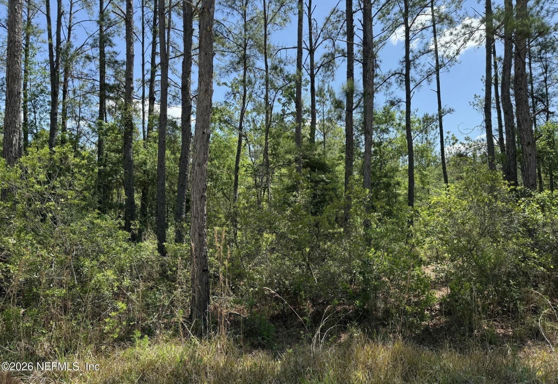 Tbd NE 20th Lane, Lawtey, FL 32058 Photo