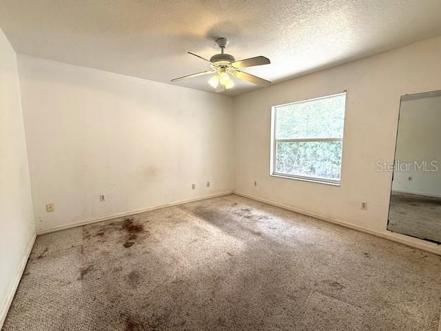 1241 S Venice Boulevard , Venice, FL 34293 Photo